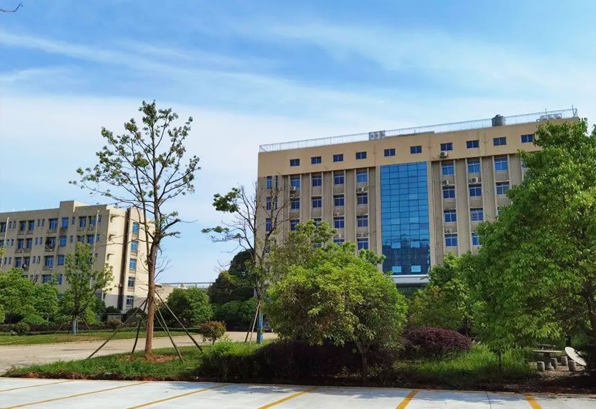Company Profile